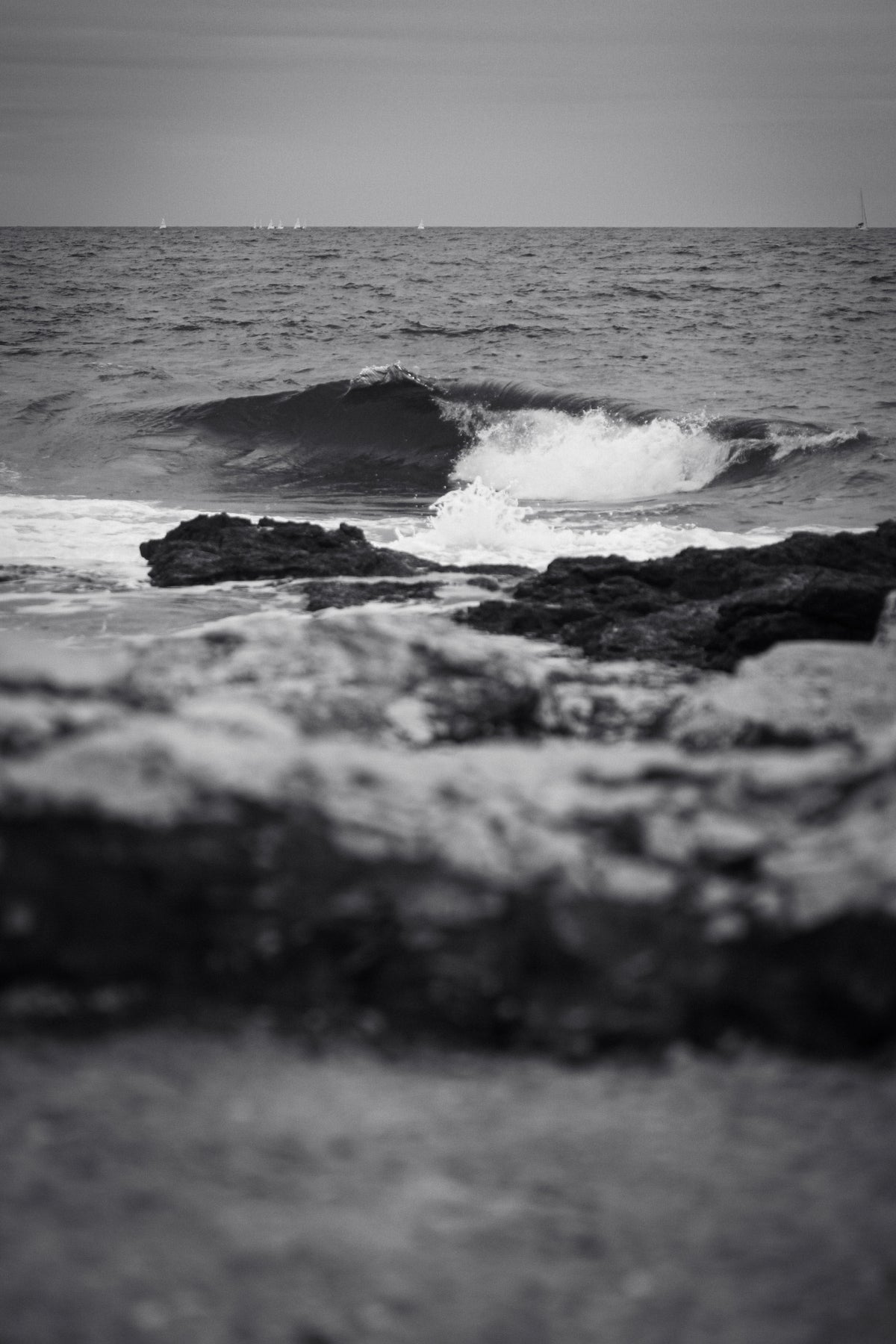 Insignificance 3