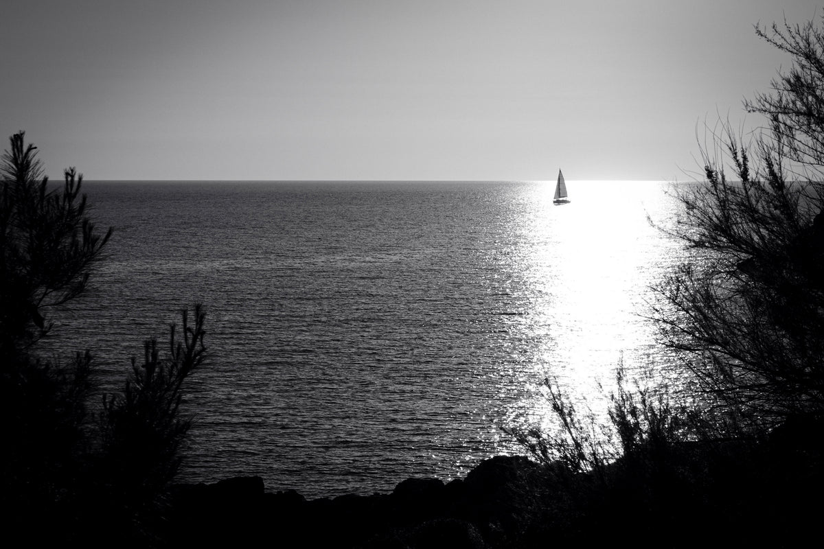 A MOMENT OF STILLNESS — INTO THE SUN