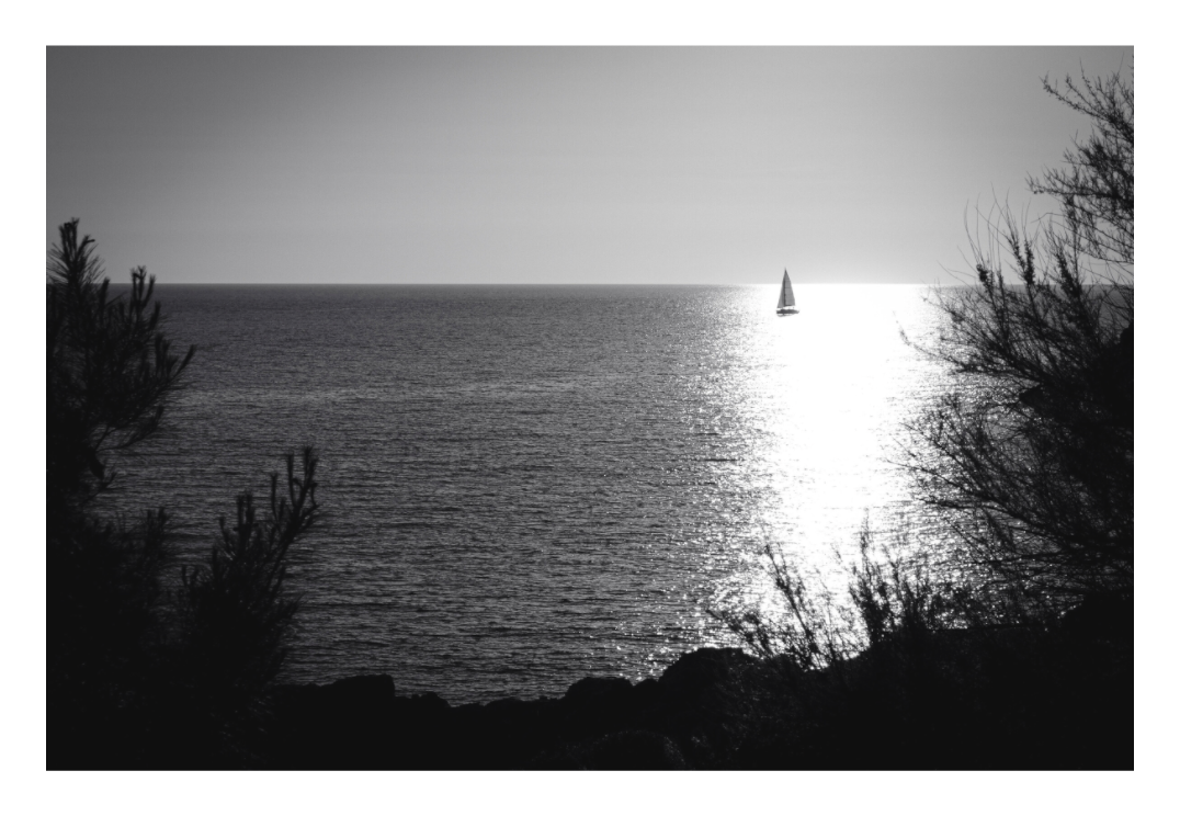 Main image A MOMENT OF STILLNESS — INTO THE SUN