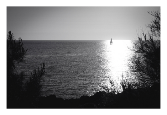 Main image A MOMENT OF STILLNESS — INTO THE SUN