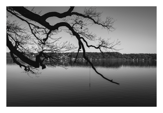Main image A MOMENT OF STILLNESS — THE REACH