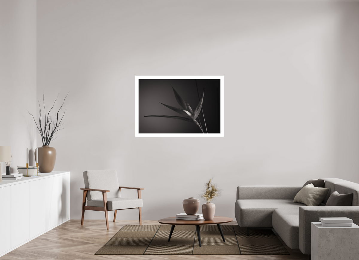 120 x 80 cm, Fine Art Print UNTITLED — A STUDY OF FLOWERS III