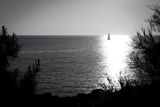 A MOMENT OF STILLNESS — INTO THE SUN
