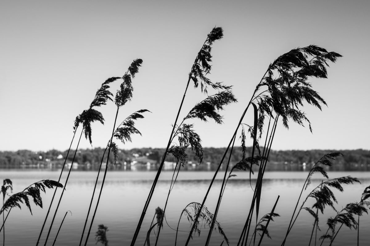 A MOMENT OF STILLNESS — THE WHISPER