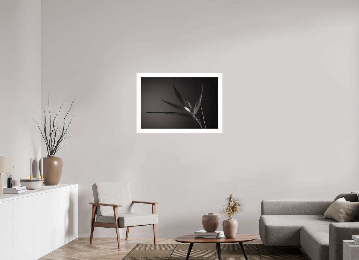 90 x 60 cm, Fine Art Print UNTITLED — A STUDY OF FLOWERS III