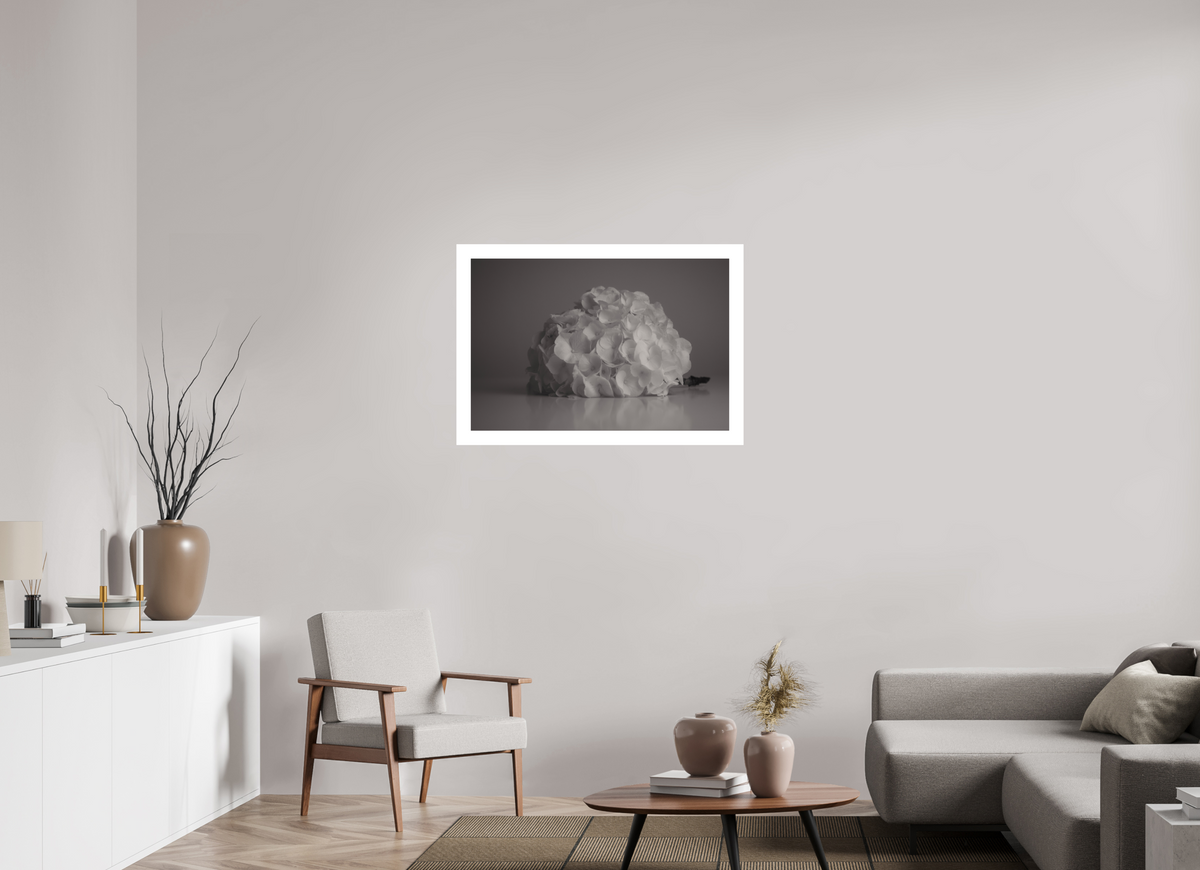 90 x 60 cm, Fine Art Print UNTITLED — A STUDY OF FLOWERS IV